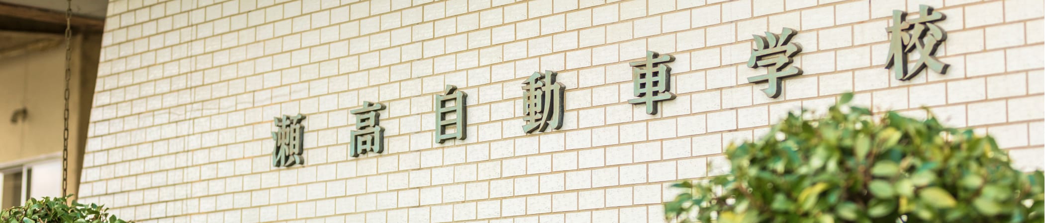 採用情報